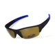 Окуляри поляризаційні BluWater Daytona-2 Polarized (brown), коричневі в чорно-синій оправі - зображення 1