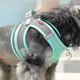 Шлея-жилет светоотражающая для кошек и собак Harness Vest S Blue Sky - изображение 4