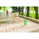 Кільце для апортировки PitchDog30, діаметр 28 см, салатовий - зображення 7