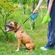 Повідець-рулетка для собак WAUDOG R-leash з контейнером для пакетів, світловідбивна стрічка, L, до 40 кг, 5 м, блакитний - зображення 6