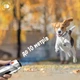 Відлякувач собак A-Plus Ultrasonic Dog Repeller 800mAh з ліхтариком, USB Silver - зображення 7