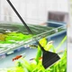 Скребок для чищення акваріума Nettoyage комплект - набір зі змінними насадками для очищення скла від водоростей, 53 см, чорний (100540816) - зображення 3