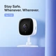 IP-Камера TP-LINK Tapo TC60 FHD N300 microSD motion detection - изображение 7