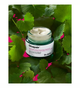 Krem do twarzy Dr.Jart+ Cicapair Tiger Grass rozświetlający 15 ml (8809724476168) - obraz 3