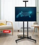 Крепление для телевизора V-STAR TV CART 1500/8005 32-70 дюймов до 27 кг сталь - изображение 1