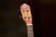 Укулеле Ortega Earth RUDAWN Concert Ukulele Okoume Dawn Sunburst (R125707) - изображение 9