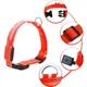 Світлодіодний Lesko Red XS LED нашийник USB світиться для собак та котів - зображення 2