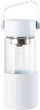 Термопляшка Buydeem скляна з заварником Oat White 300 мл (6950386618211) - зображення 1