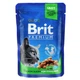 Brit Premium Cat Chicken for Sterilised pouch 100 г вологий корм для стерилізованих кішок - зображення 1