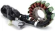 Генератор Cтатор магнето HONDA TRX450R Sportrax 450 R 2004 2005 - изображение 4
