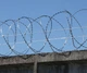 Егоза ограждение из колючей проволоки Кайман ЗКР-С «Концертина-500/3» - изображение 1