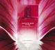 Туалетна вода для жінок Armand Basi In Red Blooming Passion 50 мл - зображення 4