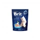 Сухой корм Brit Premium Cat by Nature Kitten для котят, с курицей, 300 г - изображение 6