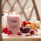 Świeca zapachowa Yankee Candle Parisian Holiday Brunch 567 g (5038581161419) - obraz 2