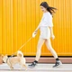 Поводок-рулетка PetKit Go Free Max P2105 білий для собак до 30 кг автоматичний повідець 4 м з кнопкою гальма для вигулу - изображение 6