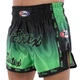 Шорты для тайского бокса и кикбоксинга FAIRTEX BO-9474 размер S черный-зеленый - изображение 1