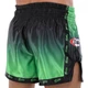 Шорты для тайского бокса и кикбоксинга FAIRTEX BO-9474 размер S черный-зеленый - изображение 2