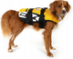 Kamizelka Ezydog Life jacket XS 7 kg żółta (5708214958531) - obraz 2