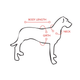 Kamizelka Ezydog Life Jacket X2 Boost S 9 - 20 kg żółta (9346036005352) - obraz 4