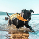 Kamizelka Ezydog Life Jacket X2 Boost S 9 - 20 kg żółta (9346036005352) - obraz 5