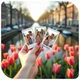 Кава в зернах 1 кг Амстердам - Amsterdam black label - зображення 6