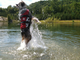 Kamizelka Ezydog Life Jacket XS 25 - 33 cm czerwona (5708214984035) - obraz 3