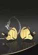 KZ ZSN PRO X (Gold, with Mic) – Гібридні навушники 1DD+1BA з мікрофоном і преміальним звучанням - зображення 8