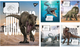 Набір зошитів учнівських YES JURASSIC WORLD ALIVE A5 12 аркушів у лінію x 25 шт (4823092292766) - зображення 1