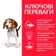 Сухой корм для щенков средних пород Hill's Puppy Medium Lamb & Rice с ягненком и рисом 14 кг 604353 - изображение 2