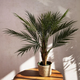 Штучна рослина Homla Tropical Zone Пальма 120 см (5904183874241) - зображення 4