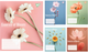 Набір зошитів учнівських YES Essence of Bloom A5 18 аркушів у клітинку x 25 шт (4823092293138) - зображення 1