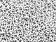 Ткань Коттон цветочки на веточке, молочный с черным, пог. м. (к111, 2311091, д12 цв2) - изображение 1