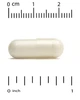 Креатин моногідрат/Creatine Monohydrate 750 мг, 240 рослинних капсул,з нейтральним смаком California Gold Nutrition - изображение 3