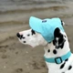 Кепка для собак Hat-Dog льон Тіфані (м'ятний) з регульованою затяжкою5/XL - изображение 4