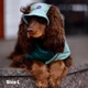 Панама для собак Hat-Dog вельвет оливкова з регульованою затяжкою 4/L - изображение 4