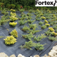 Агротканина Fortex 1,05 х 25 м, 26,25 м2, 100 г/м2 - зображення 11