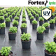 Агротекстиль Fortex 2,10х25 м, 52,5 м2, 100 г/м2 - изображение 9