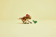 Конструктор LEGO Jurassic World Маленький динозавр Долорес: аквілопс, 339 ел. 76970 (5702017812564) - зображення 7