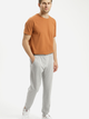 Spodnie dresowe męskie bawełniane Cross Jeans 49072-004 2XL Jasnoszare (8697319730562) - obraz 3