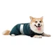 Комбинезон Pet Fashion Den для собак M2 - изображение 2