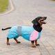 Комбінезон Pet Fashion Milly дівчинка для собак XL коргі - зображення 5