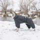 Комбінезон Pet Fashion «Cold» для такс, розмір S, сірий - зображення 5