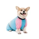 Комбінезон Pet Fashion Milly дівчинка для собак XS такса - зображення 2