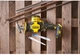 Пила сабельная аккумуляторная Stanley FatMax 18В (V20) Li-Ion, 2800 ход/мин SFMCS305B - изображение 7