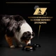 Сухой корм для взрослых собак Purina Pro Plan с избыточной массой тела и/или стерилизованных с белой рыбой 14 кг (8445290525338) - изображение 9