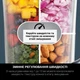 Блендер стаціонарний NINJA Detect Power Blender Pro & Single Serve TB301EU - изображение 5