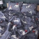 Комплект постельного белья MirSon евро 200x220 см 17-0663 Cute Pug бязь (2200010011357) - изображение 1