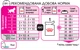 Упаковка вологого корму для кошенят Royal Canin Kitten in Gravy 12 шт по 85 г (9003579308745) (4058001)A - изображение 4