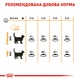 Сухий корм для кішок Royal Canin Hair & Skin Care 400 г (3182550721721) (2526004)A - изображение 7
