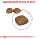 Сухий корм для кішок Royal Canin Urinary Care 400 г (3182550842907) (1800004)A - зображення 5
